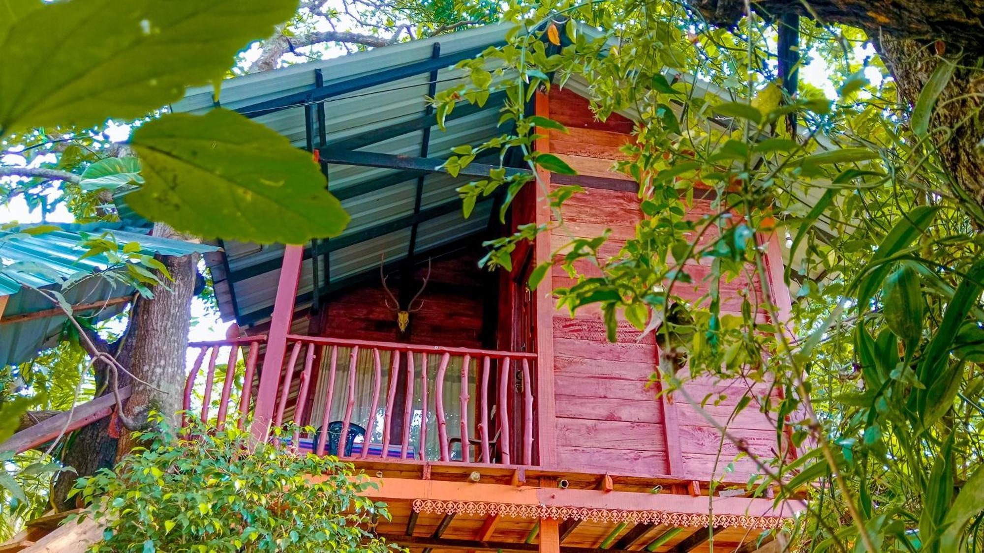 Sigiri Sky Home & Treehouse Sigiriya Exterior photo