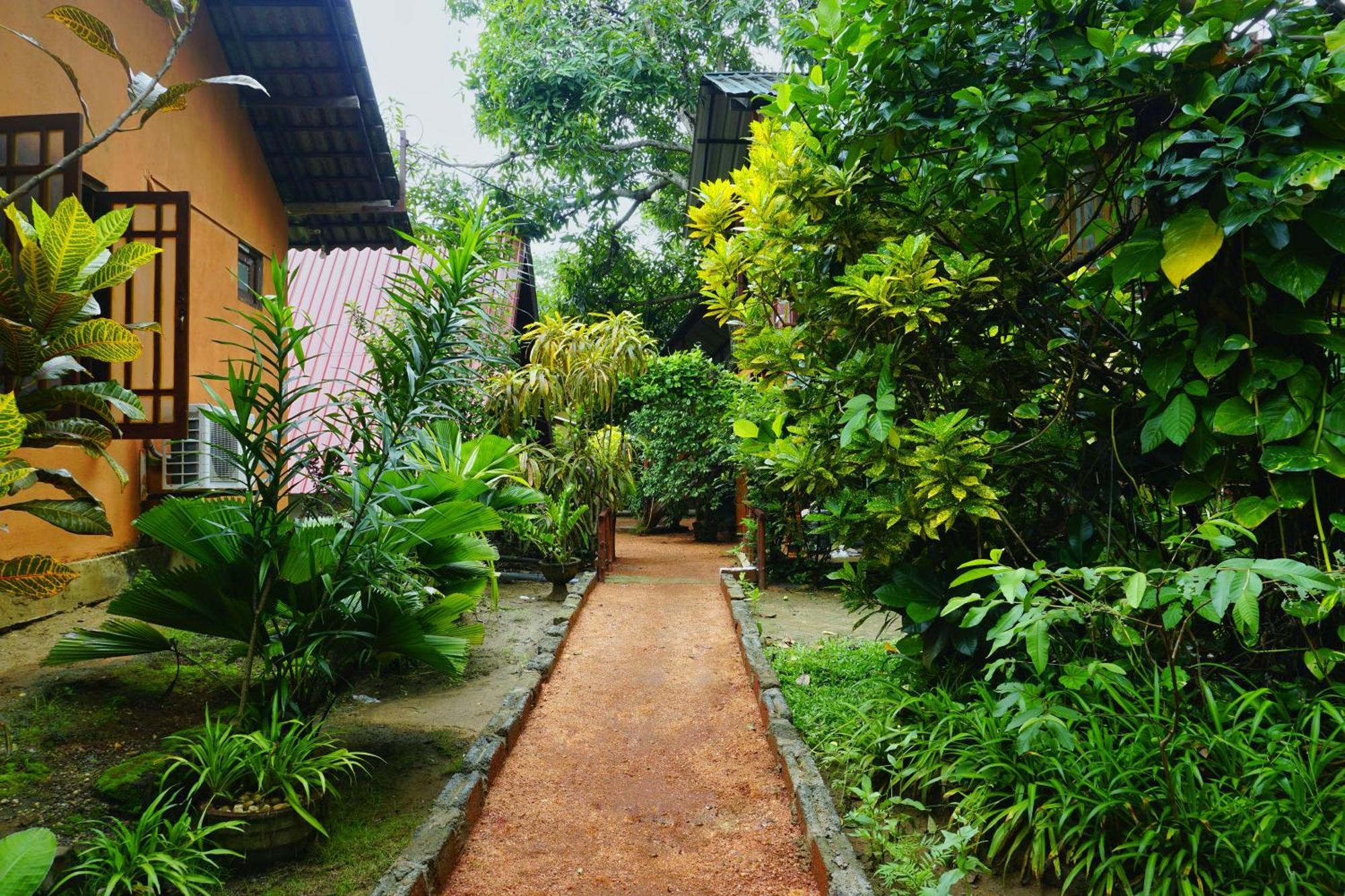 Sigiri Sky Home & Treehouse Sigiriya Exterior photo